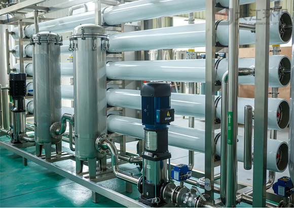 大江环保-食品厂10吨双级纯水设备